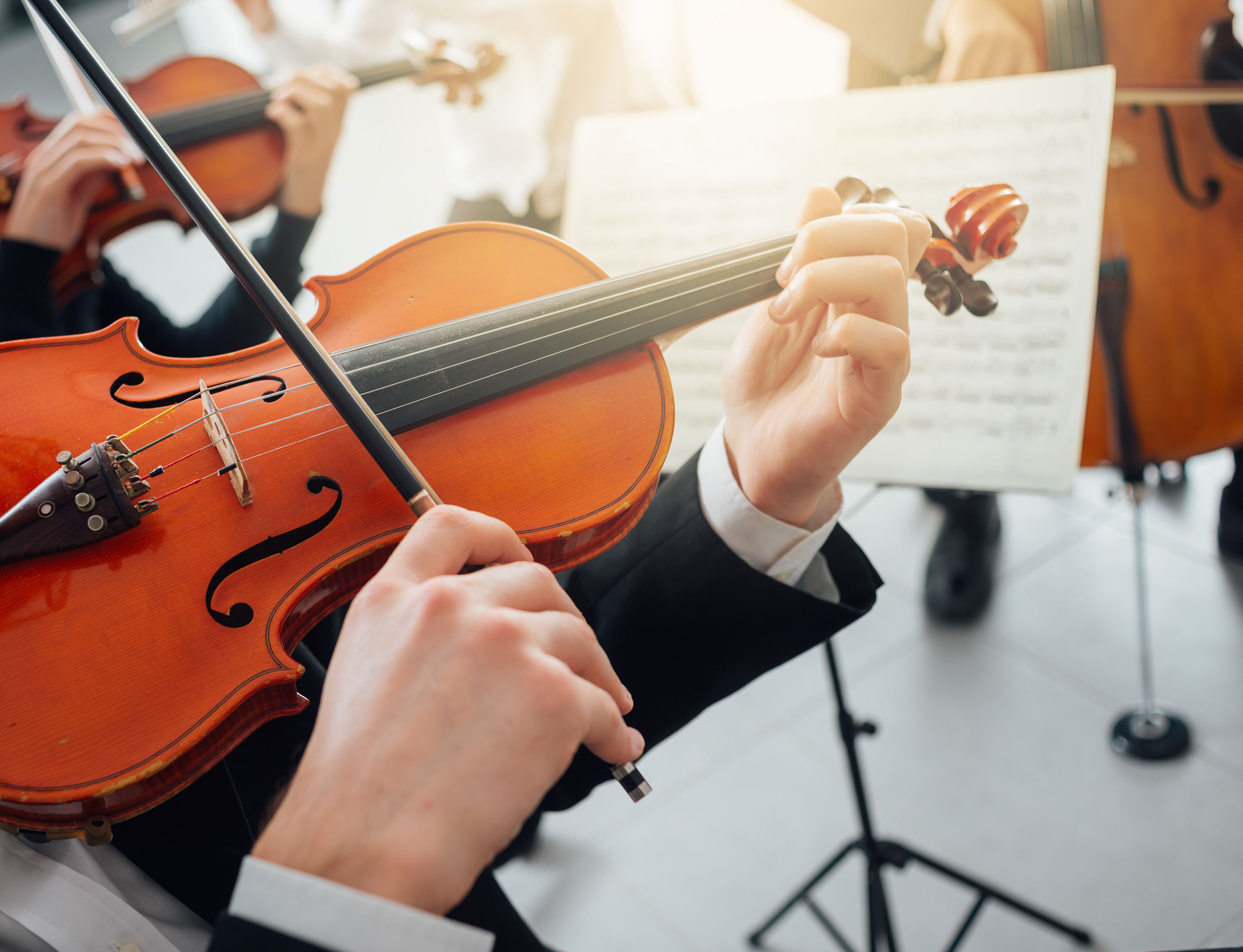 Manutenção violino instrumentos de cordas