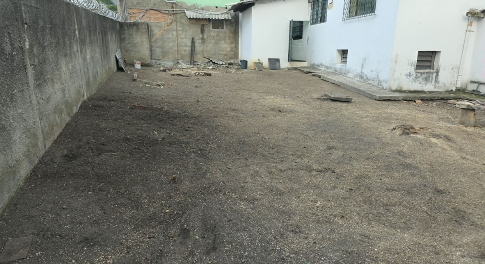 quintal hoje